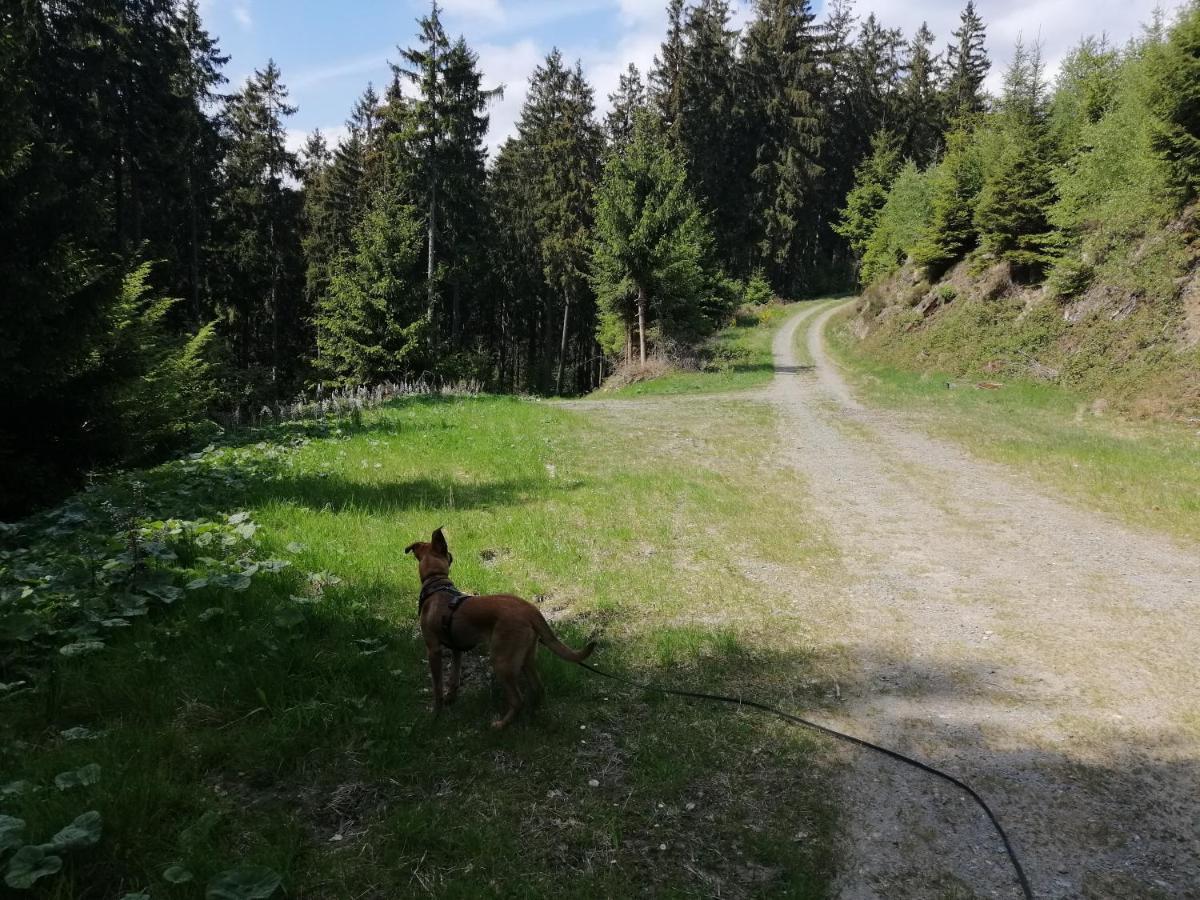 Modernisierte Ferienwohnung Im Schoenen Sauerland Meschede Esterno foto